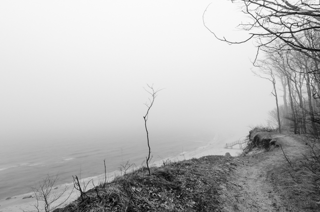fot. Marta Reszka © 2013. Debina cliff - klif w Dębinie