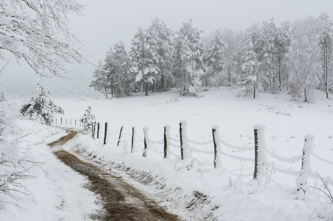 fot. Marta Reszka © 2014. Winter landscape - zimowy krajobraz