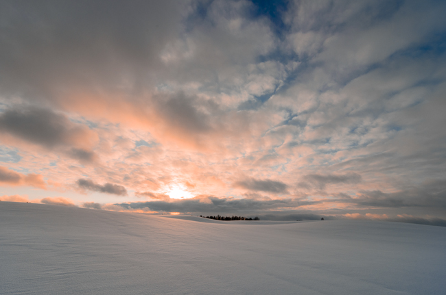 fot. Marta Reszka © 2012. Winter landscape - zimowy krajobraz
