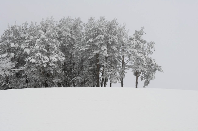 © Marta Reszka - winter landscape